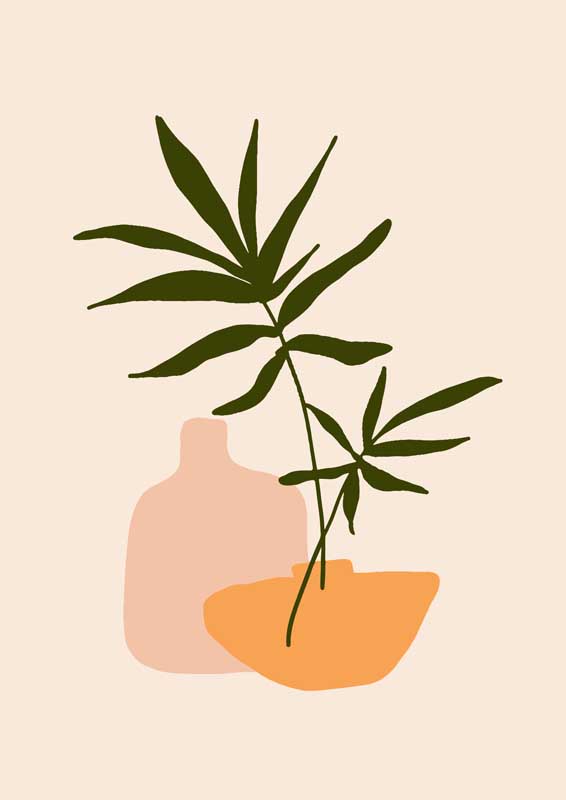 我的世界珍妮不打码视频